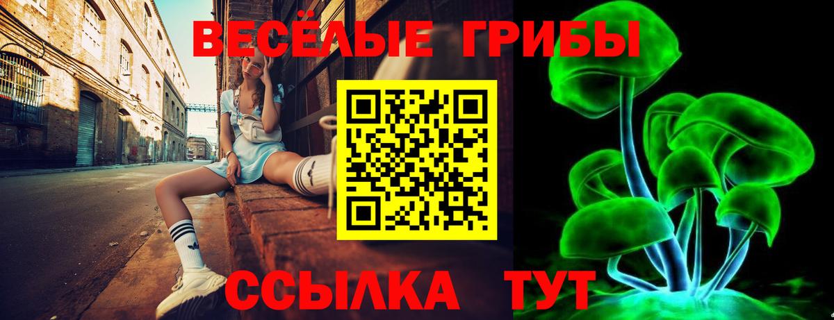 Псилоцибиновые грибы Psilocybe  как найти   Сосновоборск  Вход с VPN 